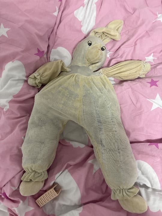Help my find my bunny please