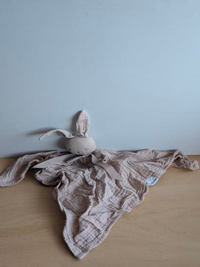 Lapin Tex