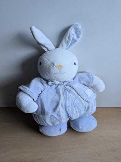 Lapin Raye bleu blanc gilet veste bleue Tartine et chocolat