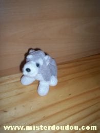 Chien Gris blanc Nicotoy