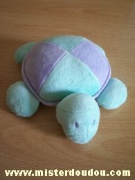 Tortue Mauve bleu turquoise Pommette