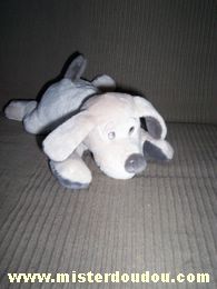 Ciad Chien Beige et gris - Très bon état