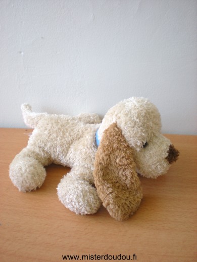 Cmp Chien Beige collier bleu - Très bon état